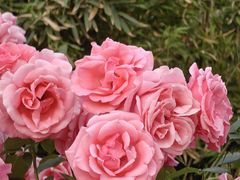 -下沉广场(羊坊店街道)