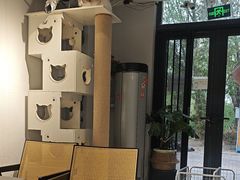 -琪喵猫屋·撸猫猫咖·猫舍
