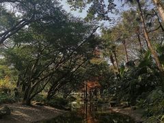 -人民公园(罗湖区)