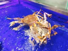 -盒马鲜生(昆城店)