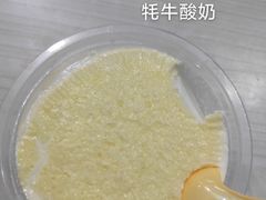 -雪露酸奶