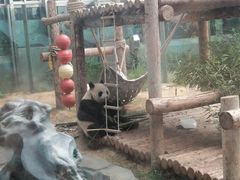 -大连森林动物园