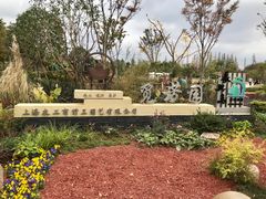 -上海长兴岛郊野公园