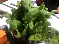 -东椰·海南椰子鸡火锅(朝阳门店)