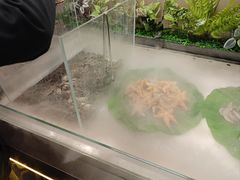 -小明家·鲜牛肉自选火锅(中街店)