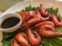 白灼大草虾-骏莱海鲜鱼港(五角场店)