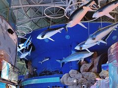 -烟台海昌鲸鲨海洋公园