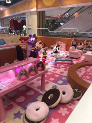 点击看大图 -哈尼鹿儿童乐园(兰州东瓯店)