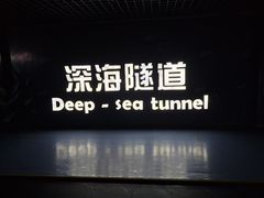 -秦皇岛新澳海底世界