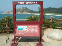 -广东惠东海龟国家级自然保护区