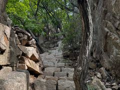 -丹东市五龙山风景区