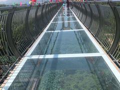 -微山湖红荷湿地景区