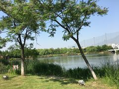 -九里河湿地公园