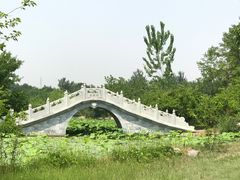-御林古桑园