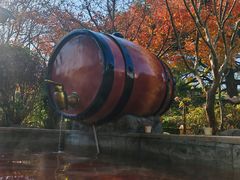 -汤山一号温泉度假区