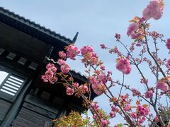 -同里国家湿地公园