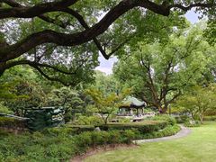 -申粤轩酒楼·三十年粤菜经典(丁香花园店)