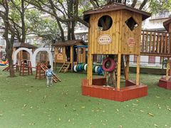 -福州淑佩小金星幼儿园