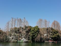 -西湖游船