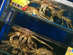 -蚝专家(北滘店)