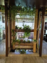 -青青一生美皮肤管理