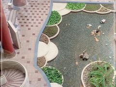 -上海波特曼丽思卡尔顿酒店