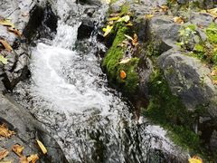 -云岫谷游猎自然风景区