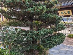 -扬州香格里拉·香宫中餐厅