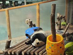 -青藏高原野生动物园