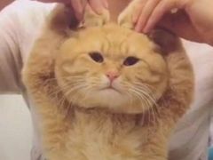 -华中农业大学-荟园餐厅