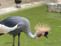 -黔灵山公园