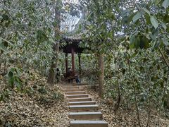 -上海佘山国家森林公园西佘山园