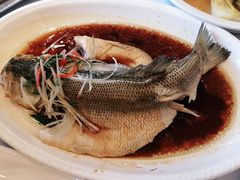 -紫光园·烤鸭·北京菜(劲松店)
