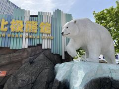 -海合安成都极地海洋公园