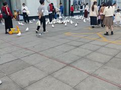 -万达广场(东莞东城店)