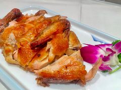 -凯鸽酒楼(大同振兴街店)