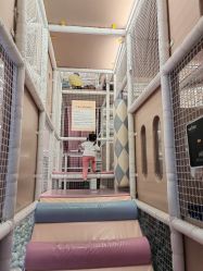 -超级奈尔宝SUPER NEOBIO(杭州星光店)