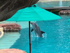 -新加坡水上探险乐园