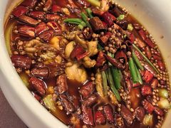 -沸腾鱼乡(知春路分店)