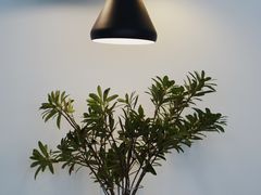 大堂-铁手珈琲制造局metalhands(望京店)