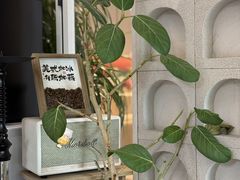 -隅乐胡椒虾·台湾菜·团建(皇岗店)