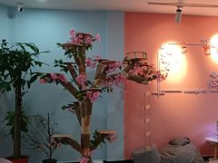 -喵宠乐园·撸猫互动·猫舍