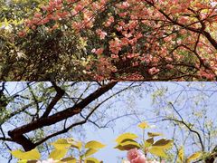 -黔灵山公园