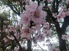 -南京邮电大学(仙林校区)