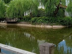 -东平国家森林公园