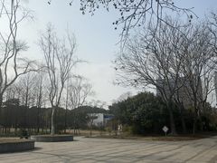 -颐景园
