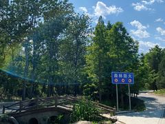 -白水寺森林公园