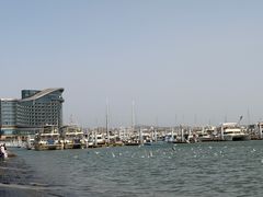 -日照世帆赛基地