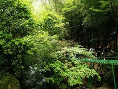 -藏龙百瀑风景区