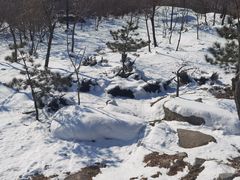 -白水寺森林公园